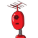 guest