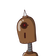 guest