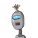 guest