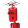 guest