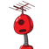 guest