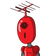 guest