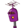 guest