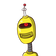 guest