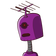 guest
