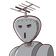guest