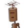 guest