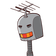 guest