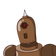 guest