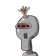 guest