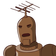 guest