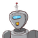 guest