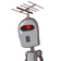 guest