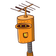 guest