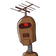 guest