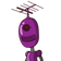 guest